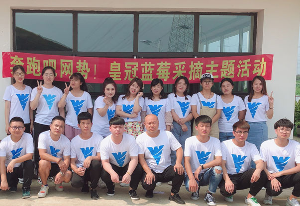 【奔跑吧網(wǎng)勢！】藍(lán)莓采摘主題團(tuán)建活動