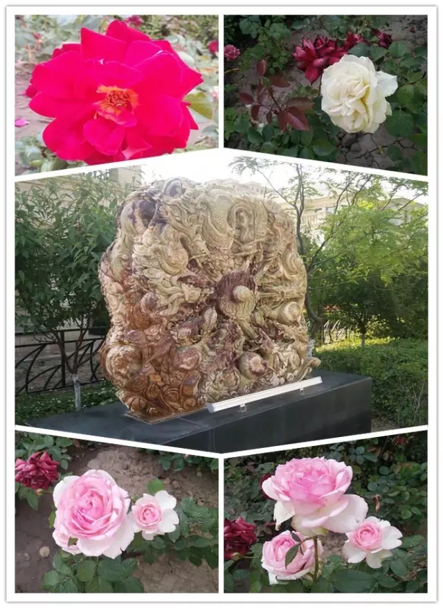 網(wǎng)勢科技6周歲生日快樂！